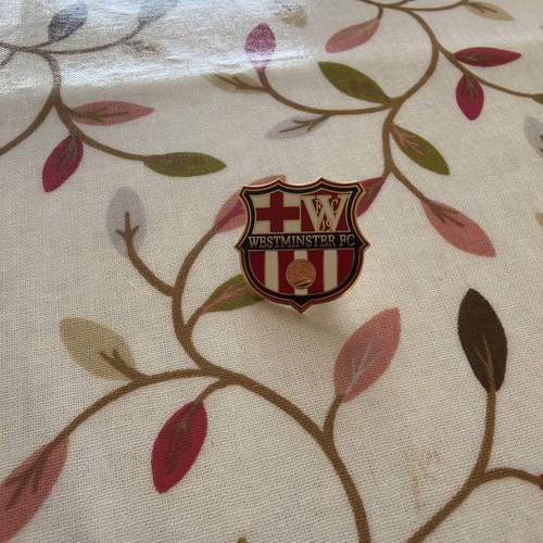 Westminster pin badge - pin,
